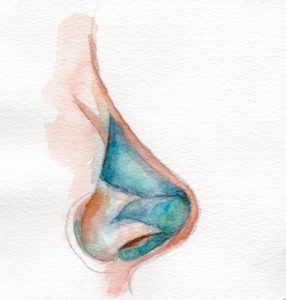 The cost of Rhinoplasty In Ontario | Dr. Brian Rotenberg